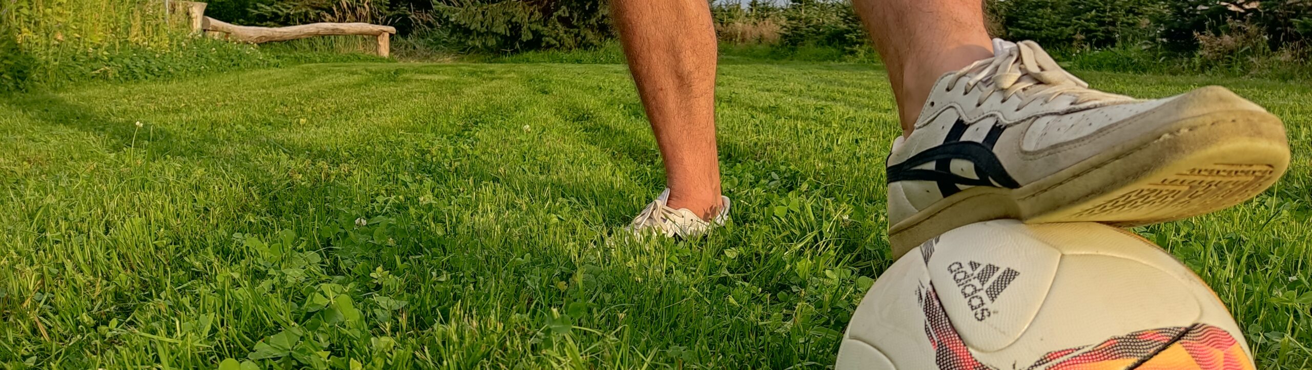 Satt grüner Rasen mit Ball und Hindernis